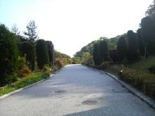 兵庫県立淡路島公園　淡路ハイウェイオアシスから交流ゾーンへの道
